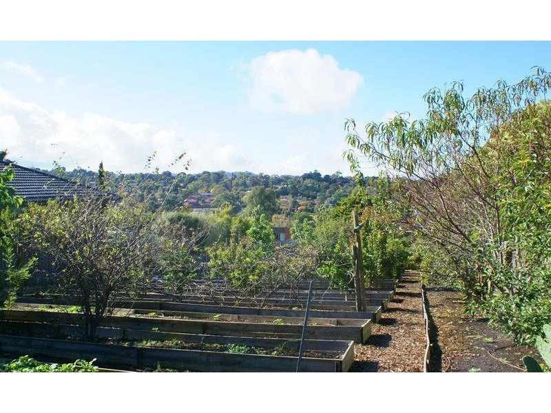 21 Shute Avenue, Berwick VIC 3806