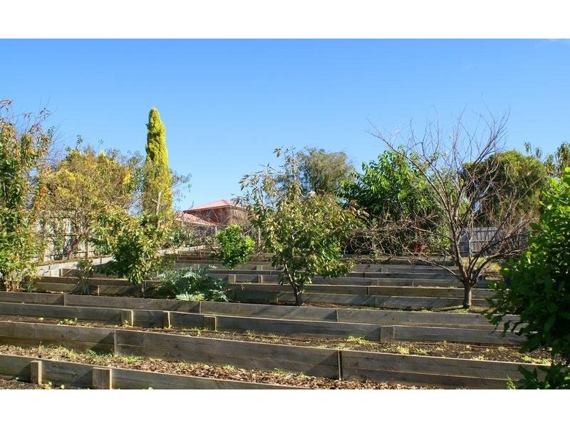 21 Shute Avenue, Berwick VIC 3806