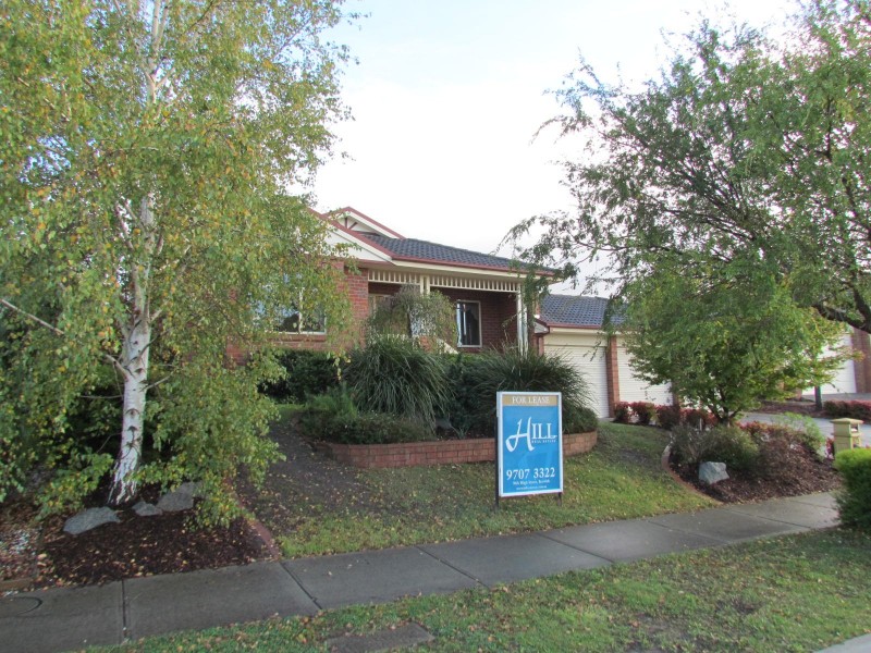 105 Berwick Springs Promenade, Narre Warren South VIC 3805
