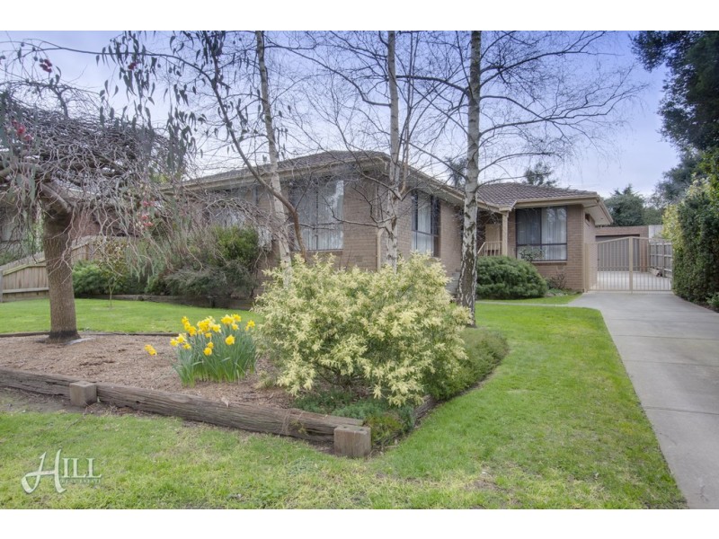 17 Fritzlaff Court, Berwick VIC 3806