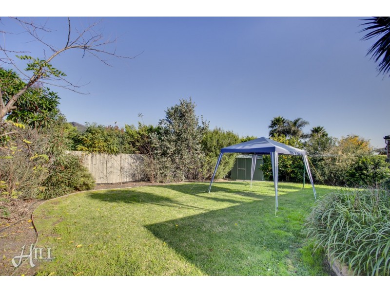56 Edgbaston Circuit, Berwick VIC 3806