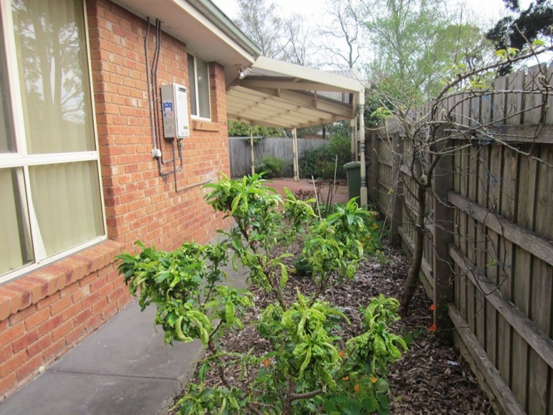 3/1 Scanlan Street, Berwick VIC 3806