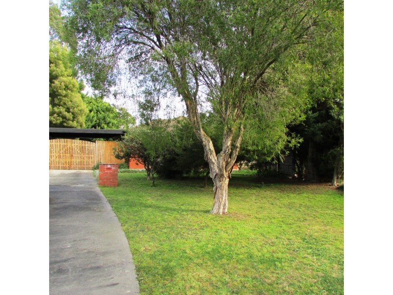 16 Harwood Court, Berwick VIC 3806