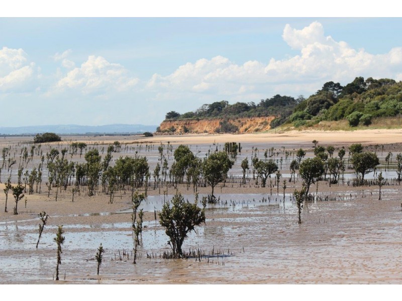 5 Bay Road, Jam Jerrup VIC 3984