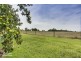 160 Number Seven Drain Road, Bayles VIC 3981