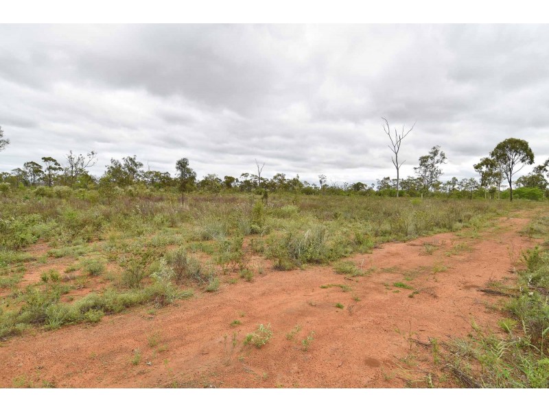 206 MANGO ROAD, Breddan QLD 4820