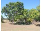44 Jardine Street, Millchester QLD 4820