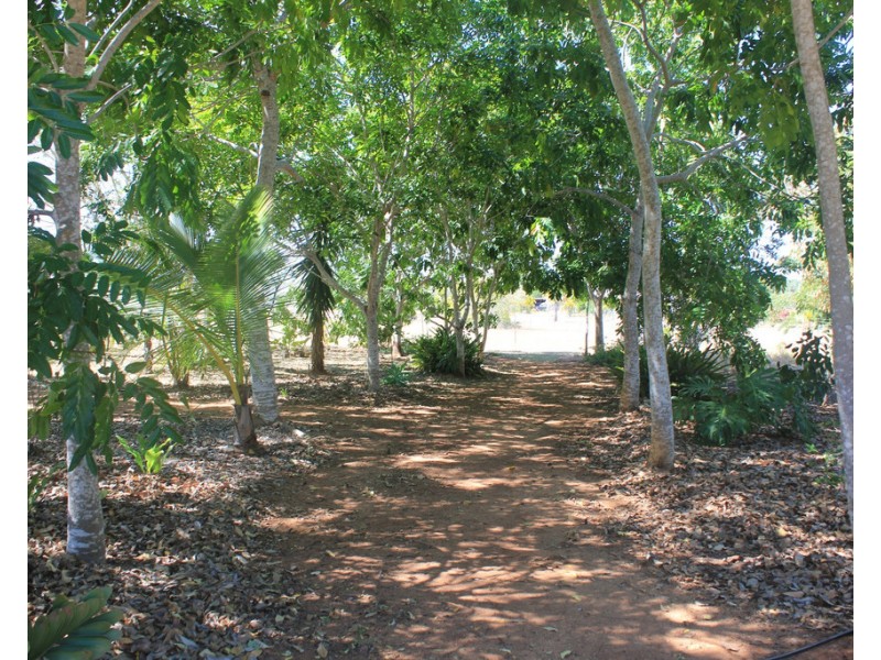 44 Jardine Street, Millchester QLD 4820