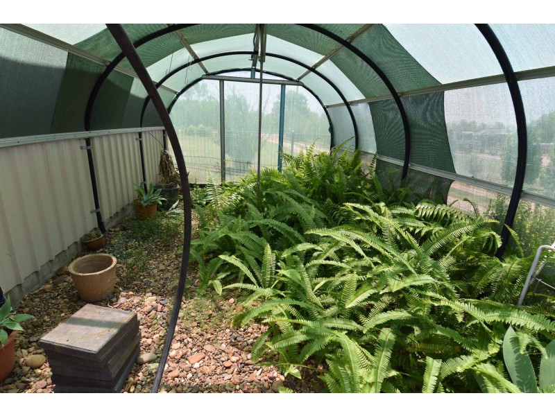 18 READ ROAD, Charters Towers City QLD 4820