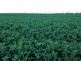 285 Broughton View Road, Seventy Mile QLD 4820