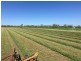285 Broughton View Road, Seventy Mile QLD 4820