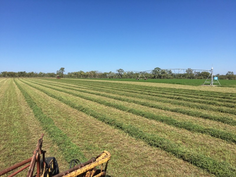 285 Broughton View Road, Seventy Mile QLD 4820