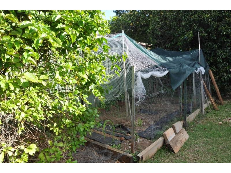 43 King Street, Charters Towers QLD 4820