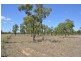Lots 4 Kings Gully Road, Charters Towers QLD 4820