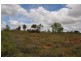 96 Alexandra Road, Charters Towers QLD 4820