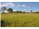 322 Woodchopper Road, Charters Towers QLD 4820