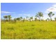 Charters Towers QLD 4820