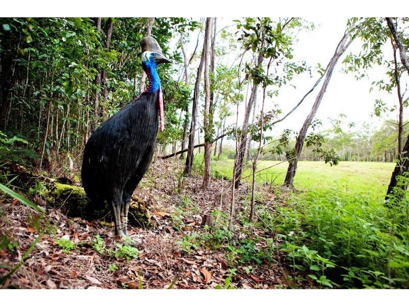 Lots 1-15 Mount Cudmore Road, Ingham QLD 4850