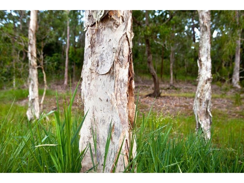 Lots 1-15 Mount Cudmore Road, Ingham QLD 4850