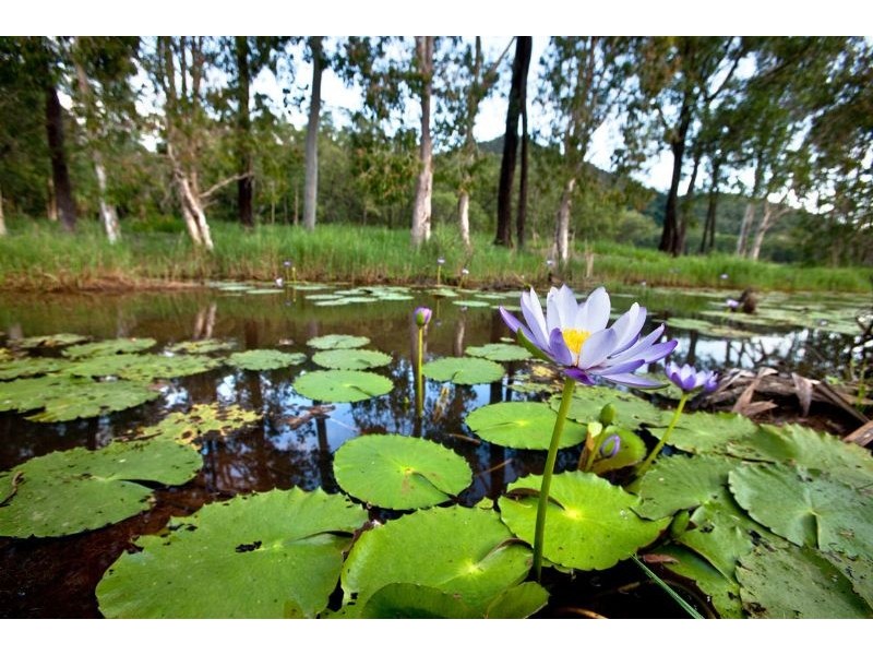 Lots 1-15 Mount Cudmore Road, Ingham QLD 4850