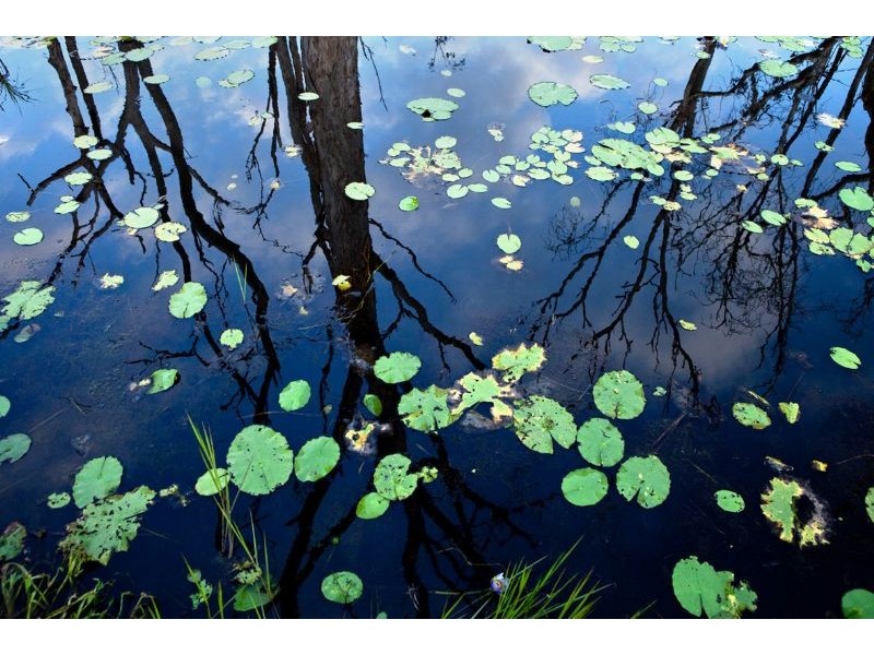 Lots 1-15 Mount Cudmore Road, Ingham QLD 4850