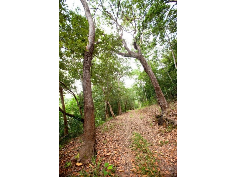 Lots 1-15 Mount Cudmore Road, Ingham QLD 4850