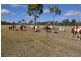 Lot 2 Ulgula Road, Charters Towers QLD 4820