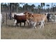 Lot 2 Ulgula Road, Charters Towers QLD 4820