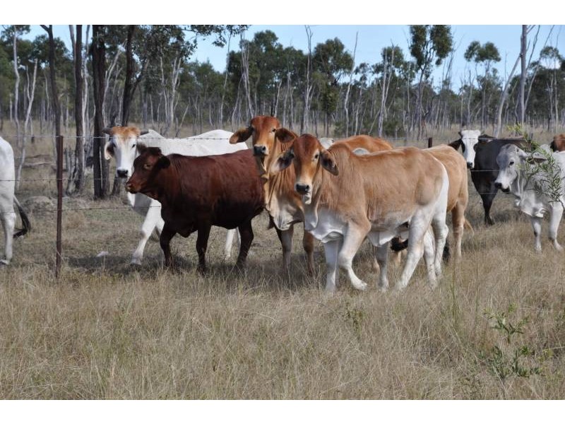 Lot 2 Ulgula Road, Charters Towers QLD 4820