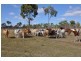 Lot 2 Ulgula Road, Charters Towers QLD 4820