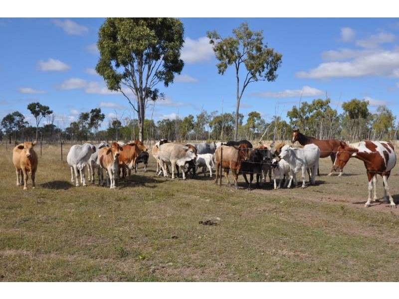 Lot 2 Ulgula Road, Charters Towers QLD 4820