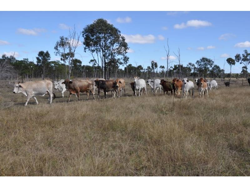 Lot 2 Ulgula Road, Charters Towers QLD 4820