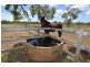 8 Mango Road, Charters Towers QLD 4820