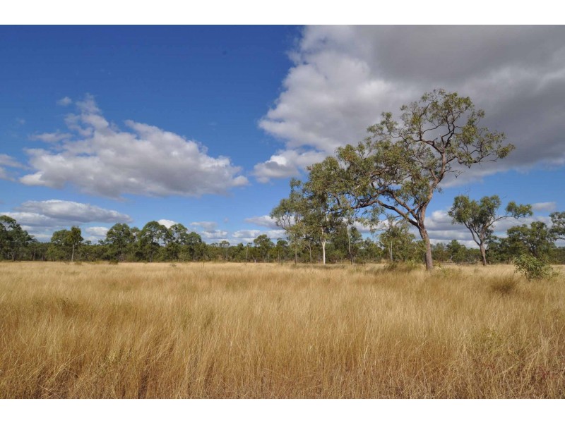 115 Thomasson Road, Charters Towers QLD 4820