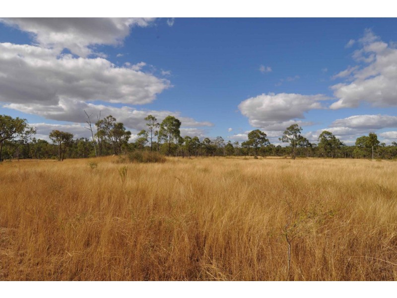 115 Thomasson Road, Charters Towers QLD 4820