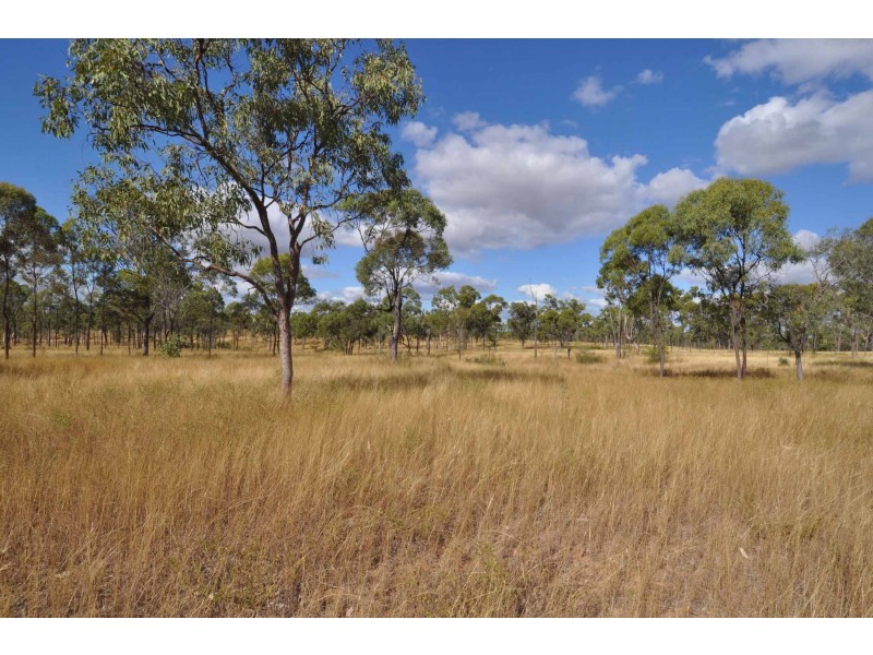 115 Thomasson Road, Charters Towers QLD 4820