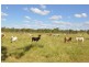 Charters Towers QLD 4820