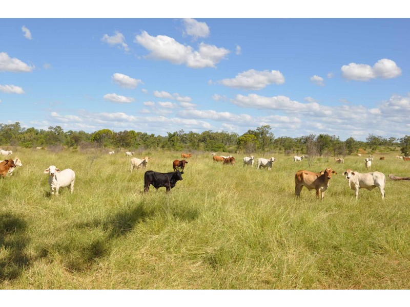 Charters Towers QLD 4820
