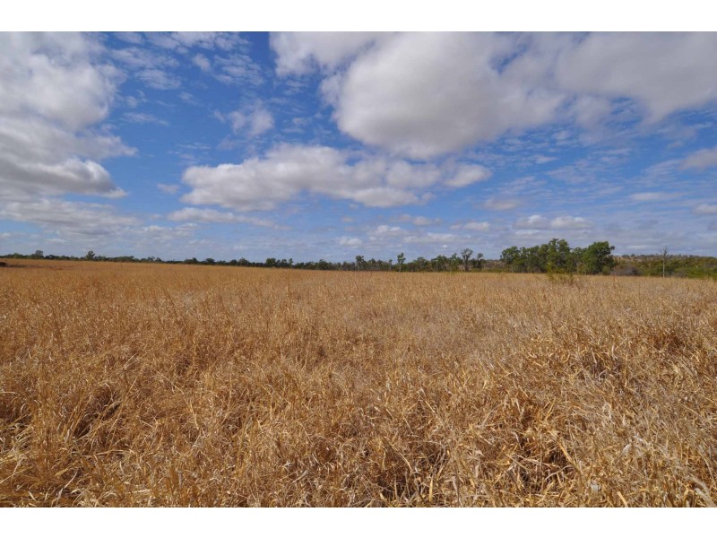 1628 Broughton Road, Charters Towers QLD 4820