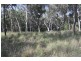 Lot 2 Greenvale Valley Road, Greenvale QLD 4816