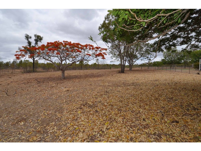 165 Woodchopper Road, Charters Towers QLD 4820