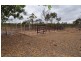 165 Woodchopper Road, Charters Towers QLD 4820