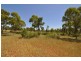 Lot 3, 13872 Broughton Road, Charters Towers QLD 4820