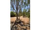 Lot 3, 13872 Broughton Road, Charters Towers QLD 4820