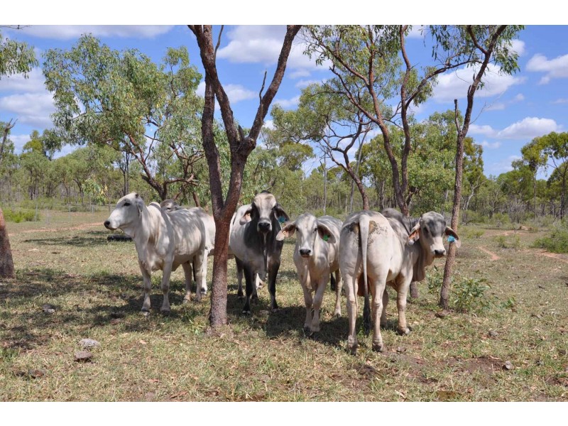 14293 Flinders Hwy, Black Jack QLD 4820