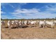 0 Flinders Highway, Charters Towers QLD 4820