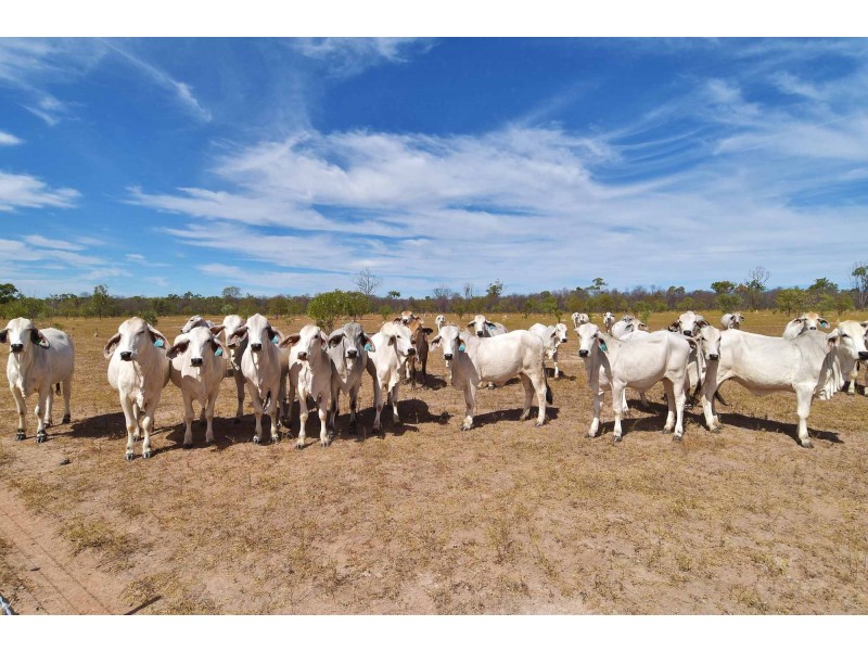 0 Flinders Highway, Charters Towers QLD 4820