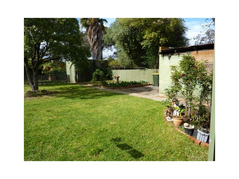 38 Elizabeth Avenue, Plympton SA 5038