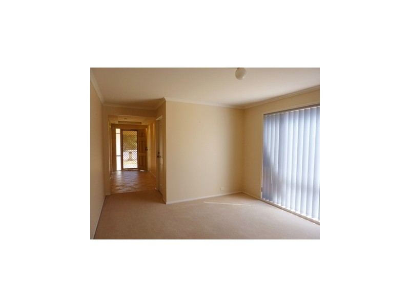 20 Stonehouse Avenue, Camden Park SA 5038