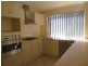 20 Stonehouse Avenue, Camden Park SA 5038
